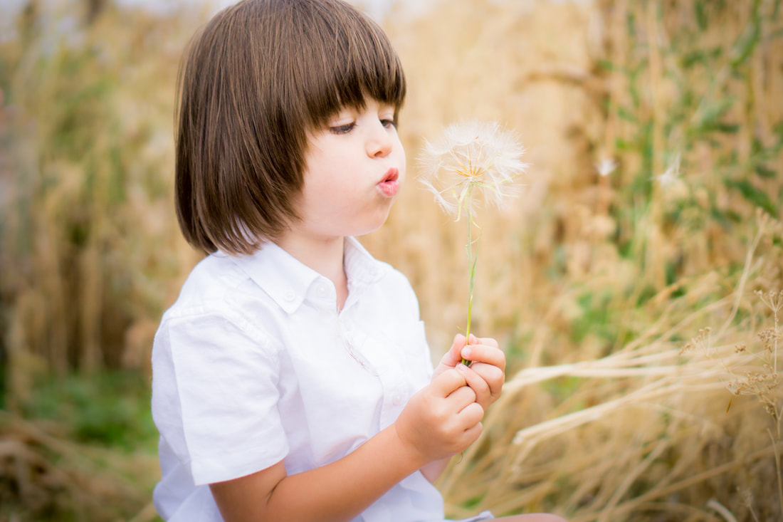 Home — Health and Allergy Relief, Harrisville UT